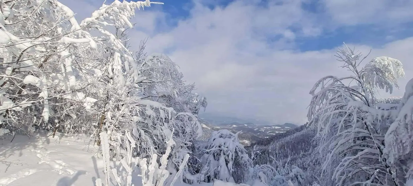 Zasnežené stromy a horská panoráma Krpáčova v zime