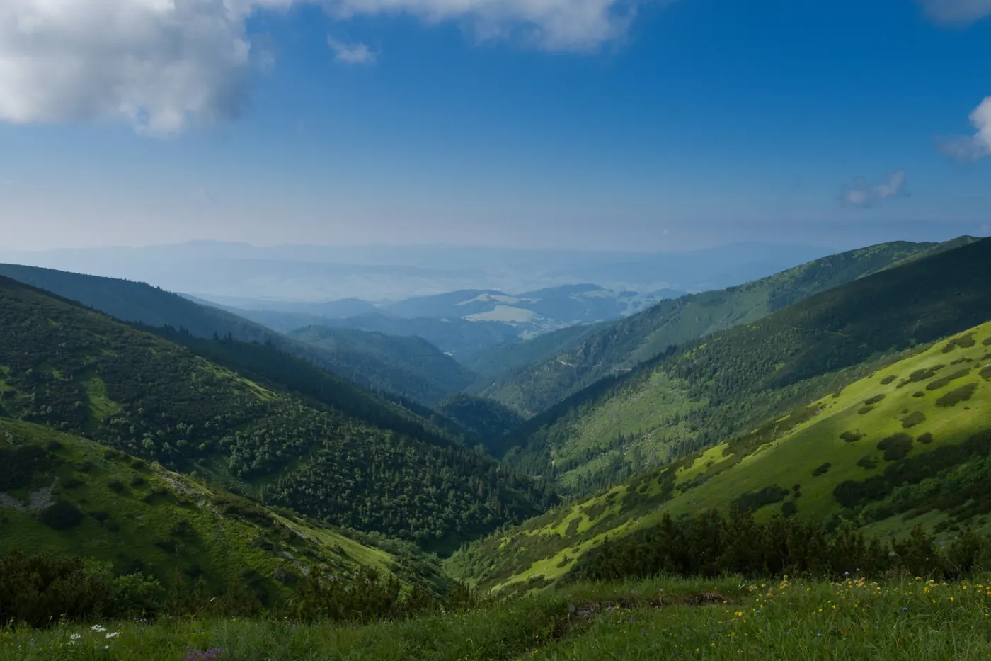 Letný pohľad na zelené doliny Nízkych Tatier nad Krpáčovom