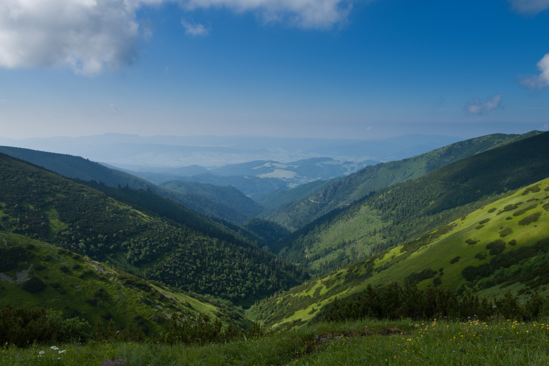 Pohľad na zelené doliny Nízkych Tatier nad Krpáčovom v lete