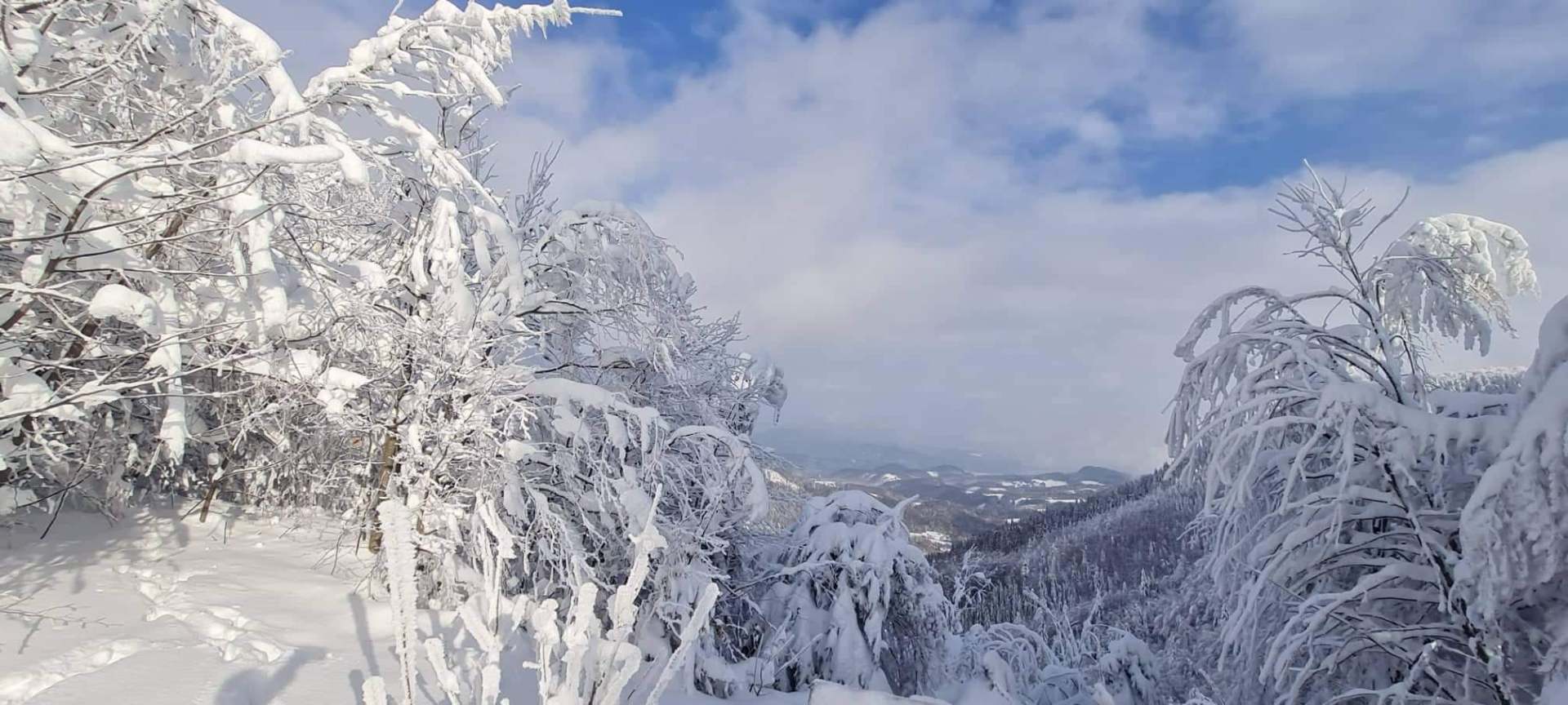 Zasnežené stromy a horská panoráma Krpáčova v zime